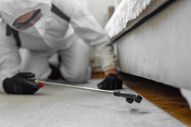 Professional Cockroach Control technician working in River Bend, NC